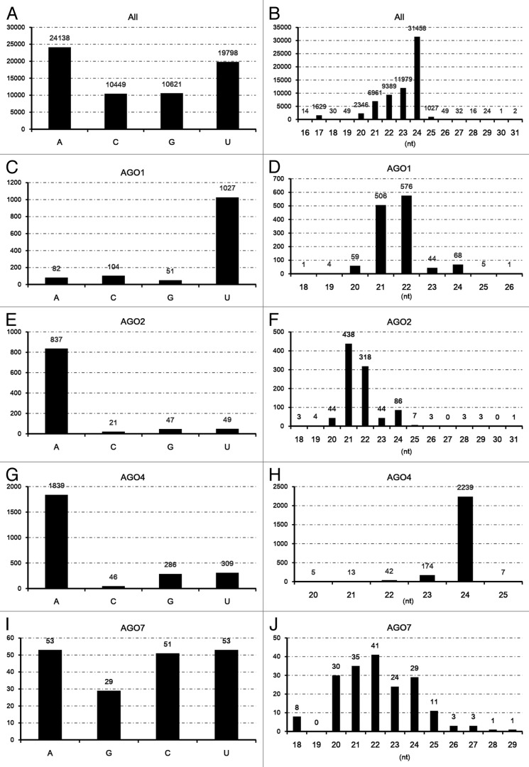 graphic file with name rna-11-373-g2.jpg