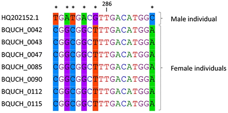 Fig 3