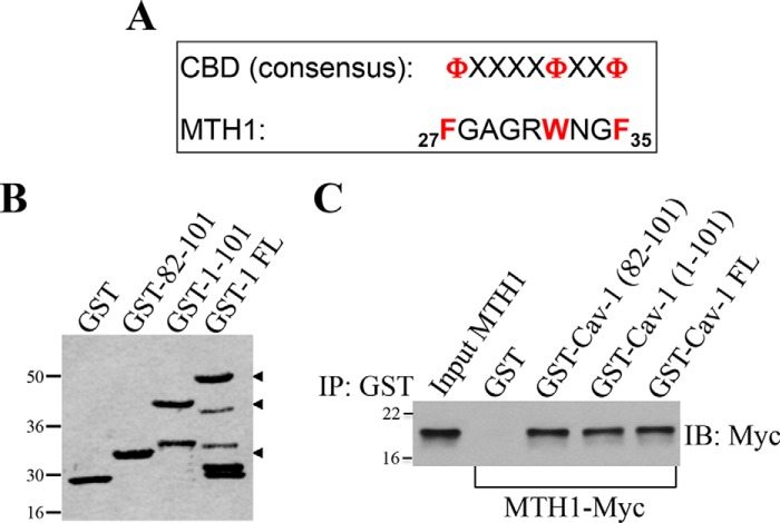 Figure 3.