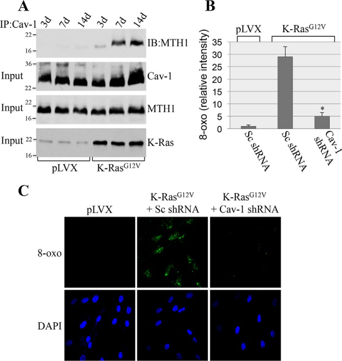 Figure 4.