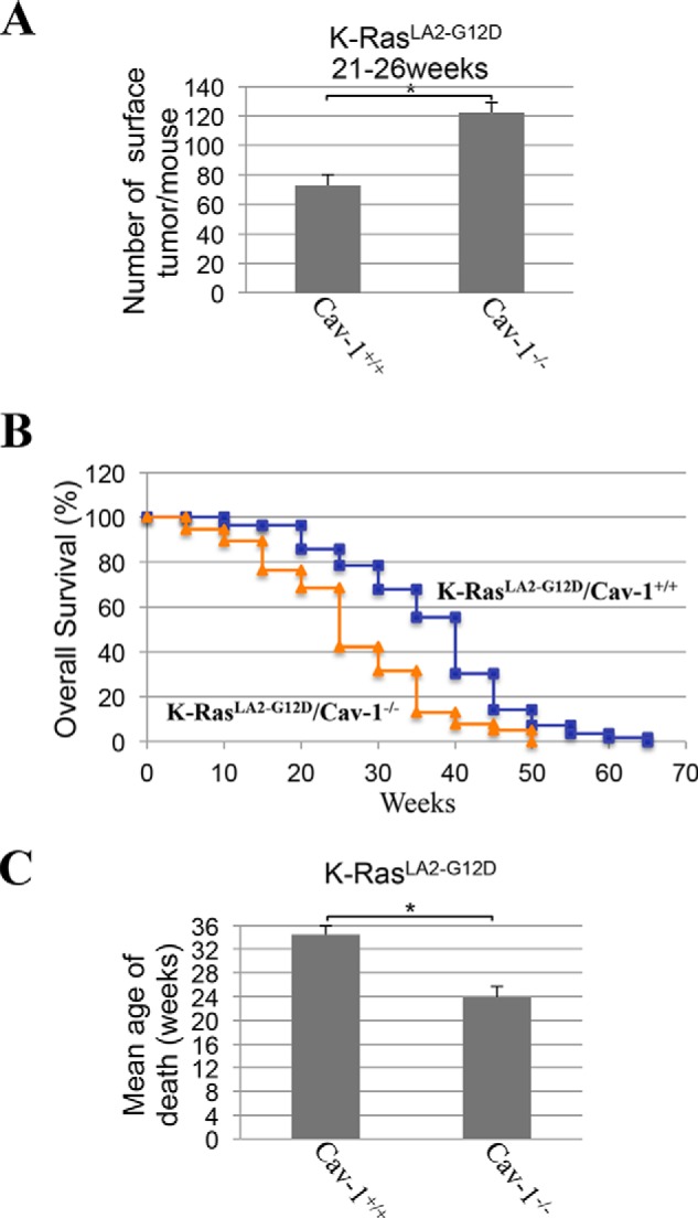 Figure 10.