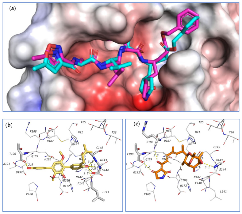 Figure 20