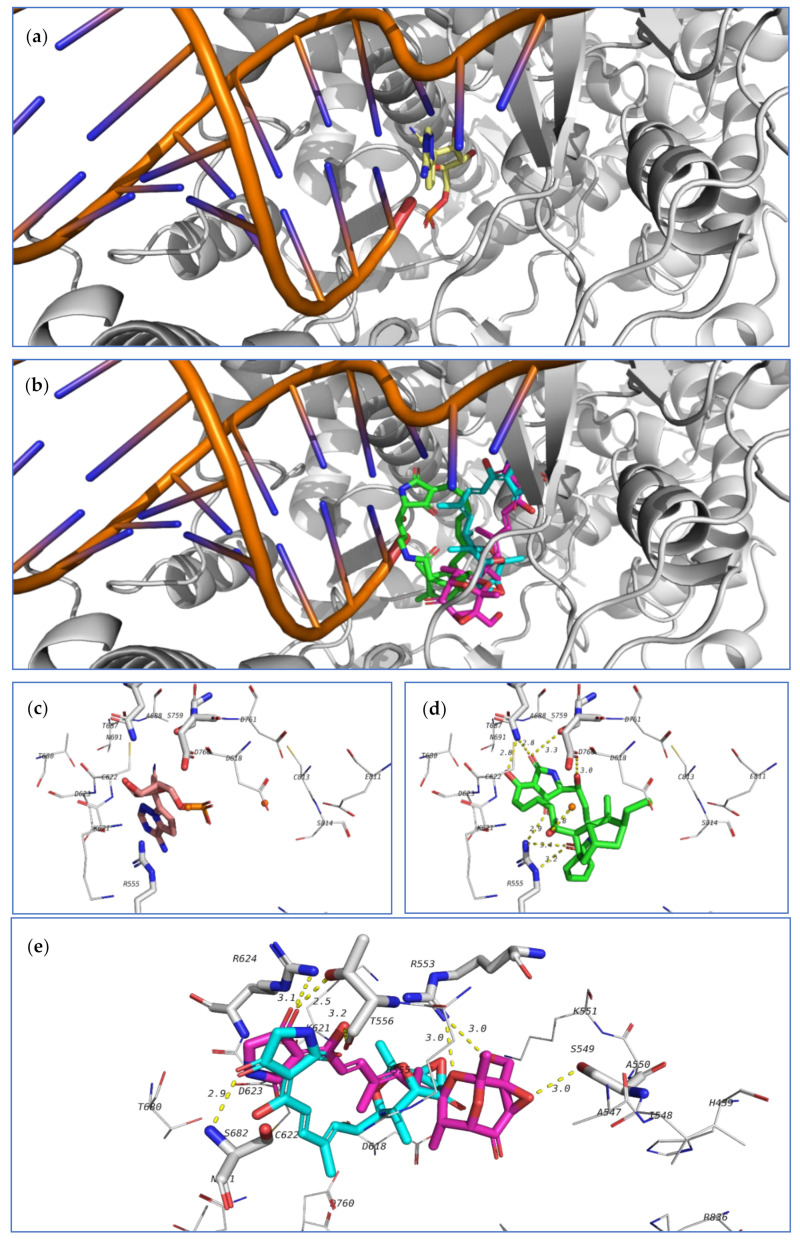 Figure 22