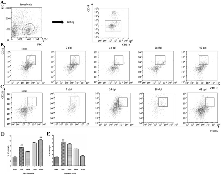 Fig. 4