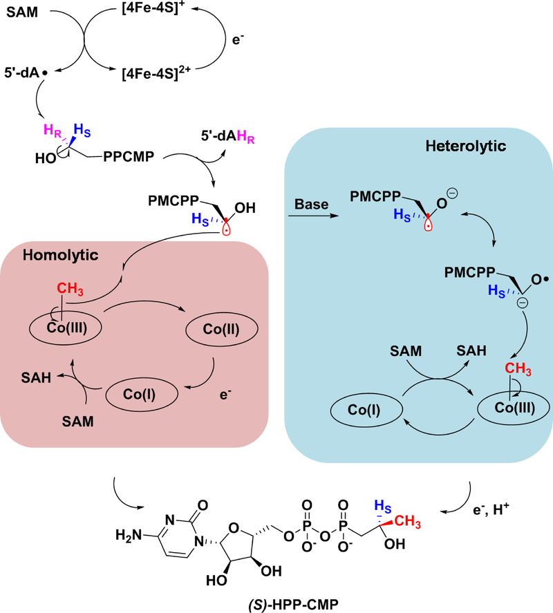 Figure 11.