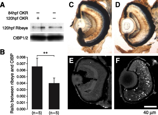 
Figure 9.
