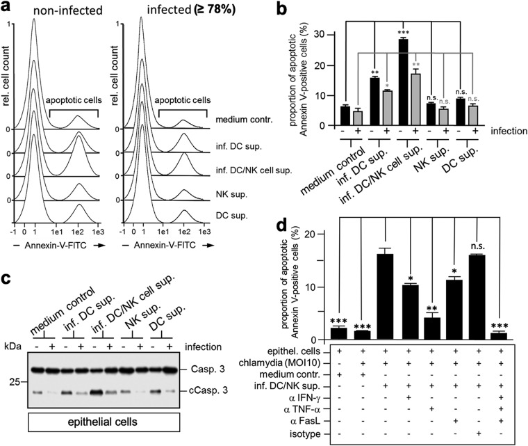 FIG 6