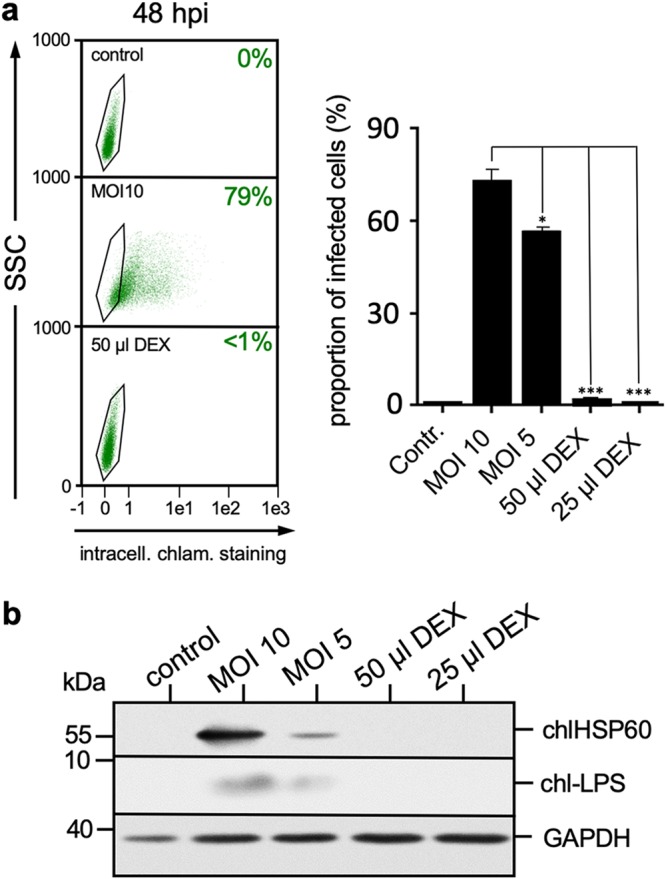 FIG 3