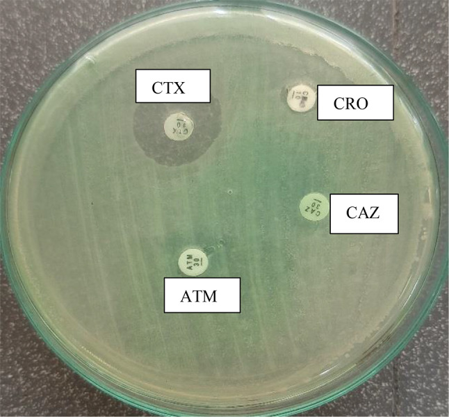 Fig. 2