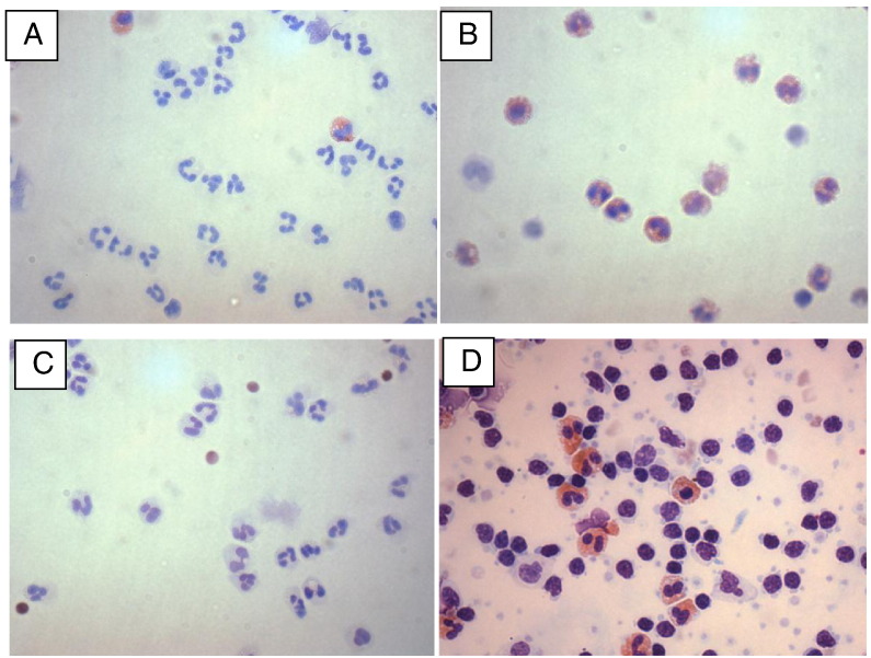 Fig. 1