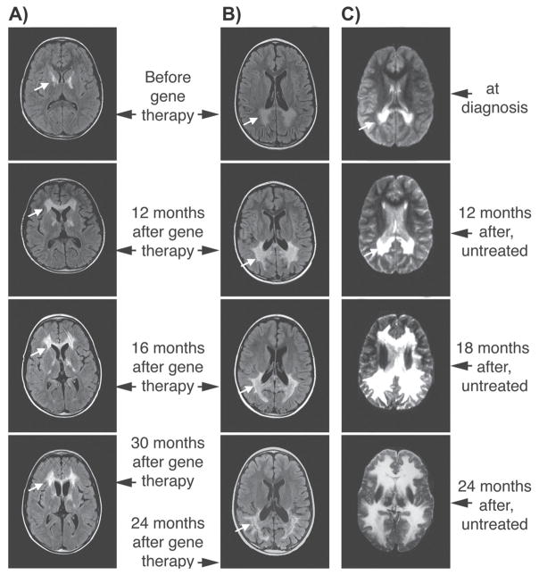 Figure 20