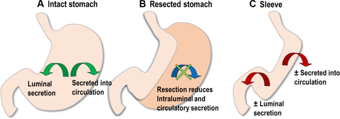 Figure 5.