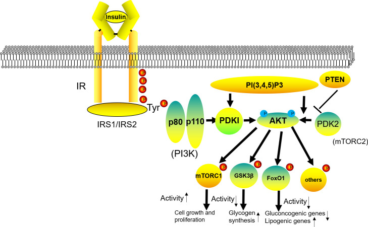 Figure 10