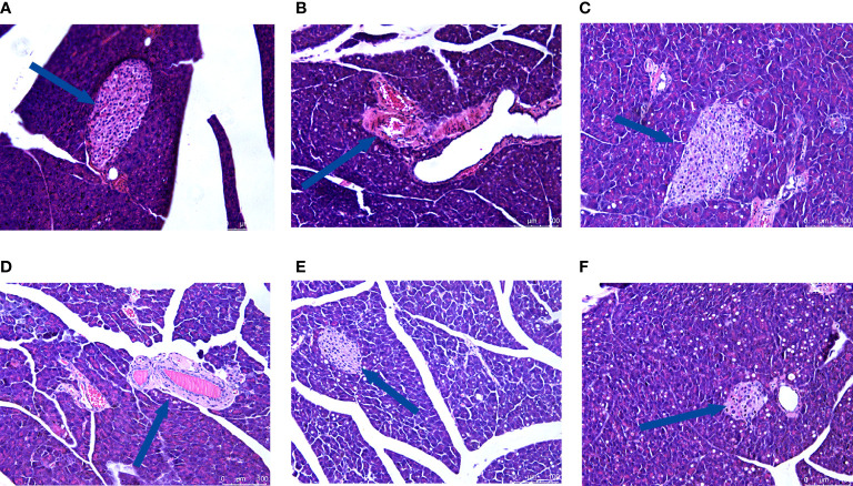 Figure 6