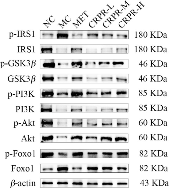 Figure 7