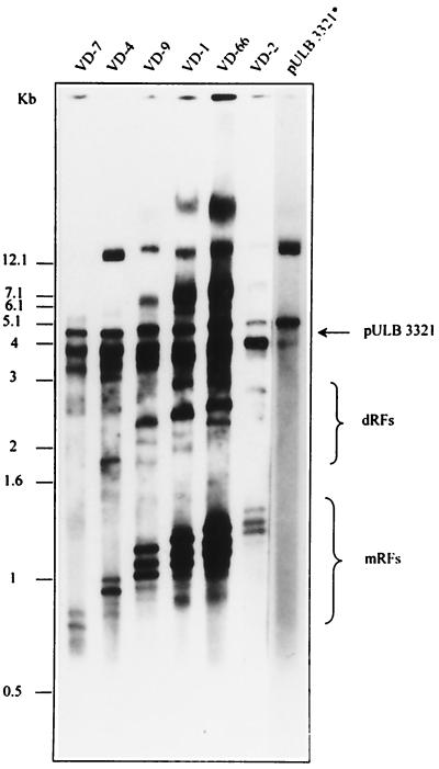 FIG. 6