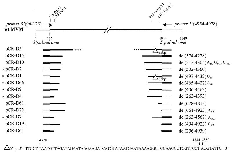 FIG. 4