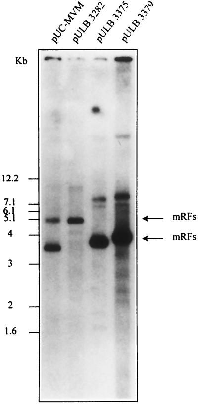 FIG. 7