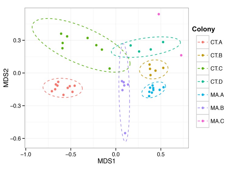 FIGURE 3