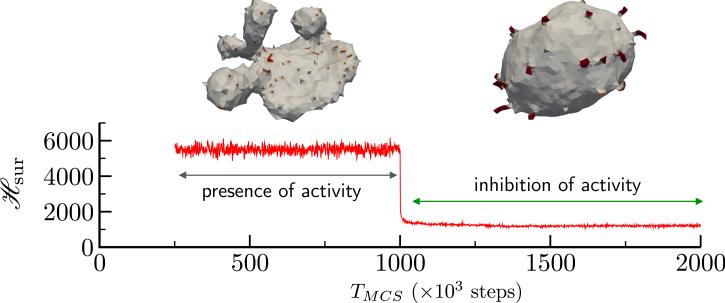 Figure 15