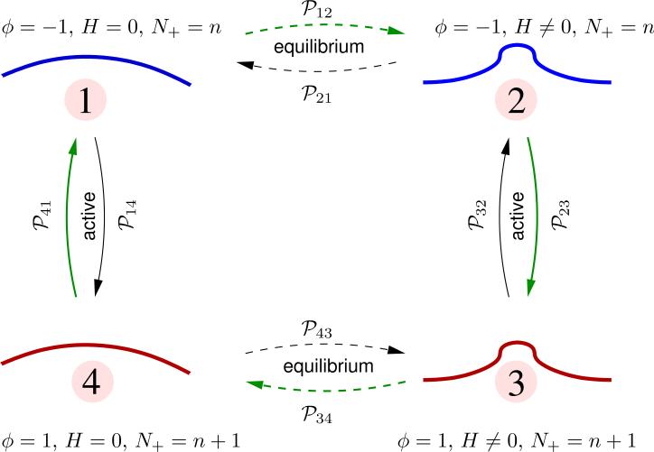 Figure 13