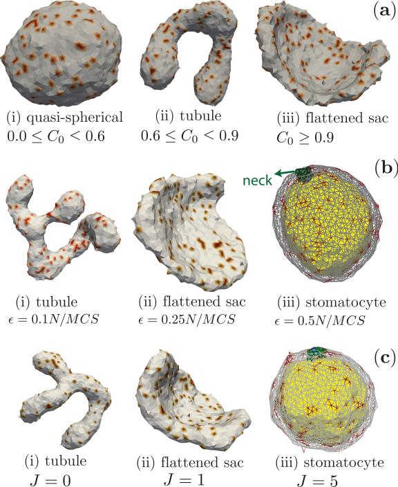 Figure 16