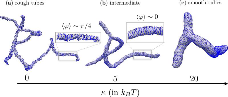 Figure 8