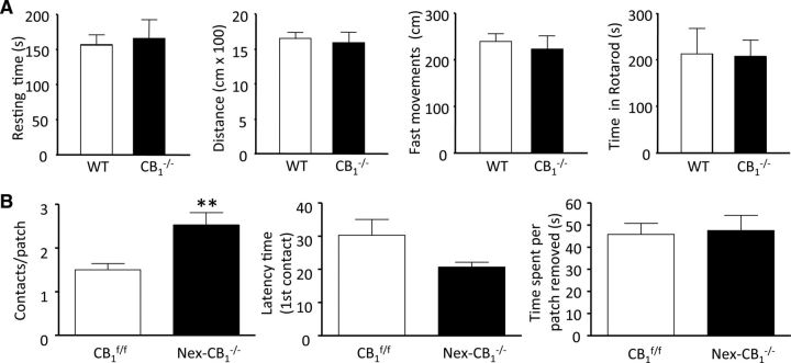 Figure 10.