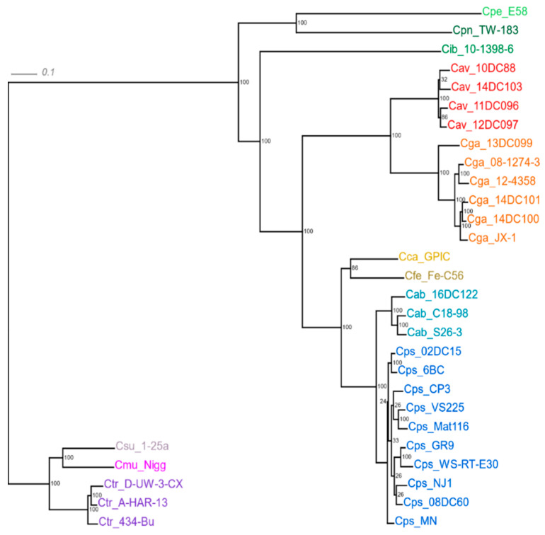 Figure 2