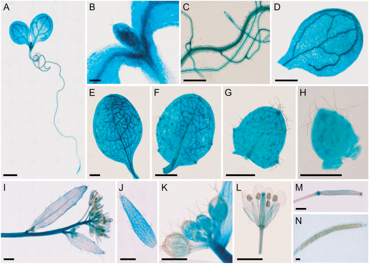 Fig. 4.