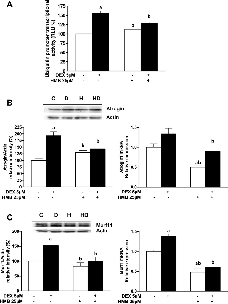 Fig 7