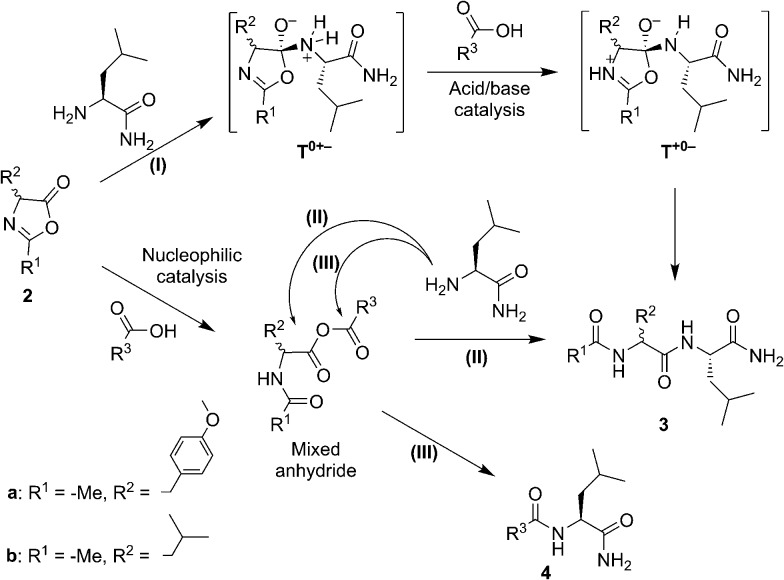 Scheme 2