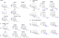 Extended Data Fig. 8