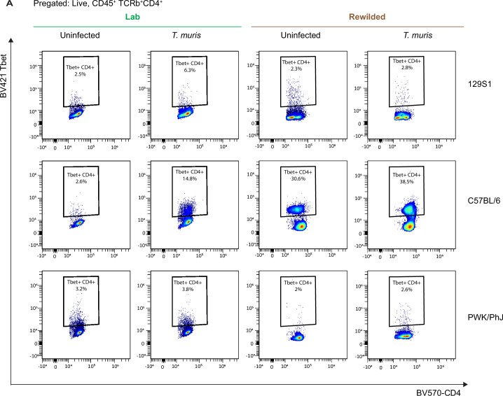 Extended Data Fig. 2