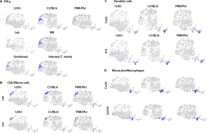 Extended Data Fig. 8