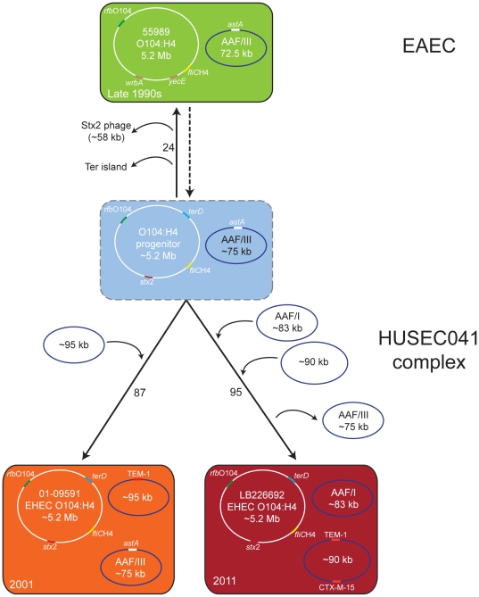 Figure 5