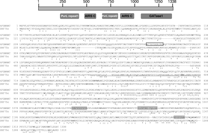 FIG. 9.