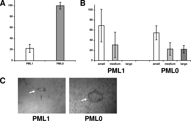 FIG. 7.