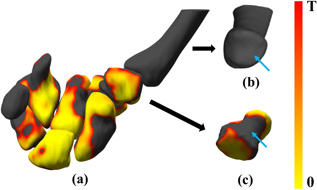 Figure 8