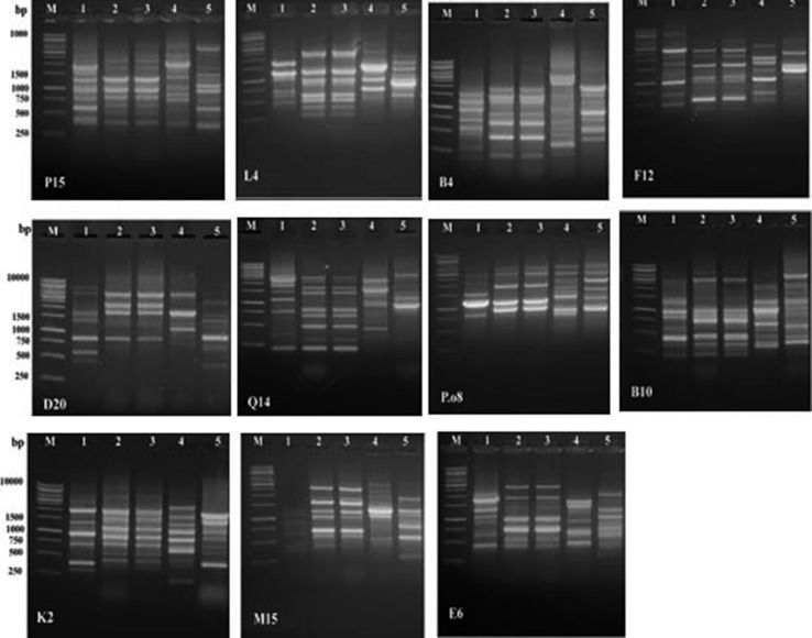 Fig. 2