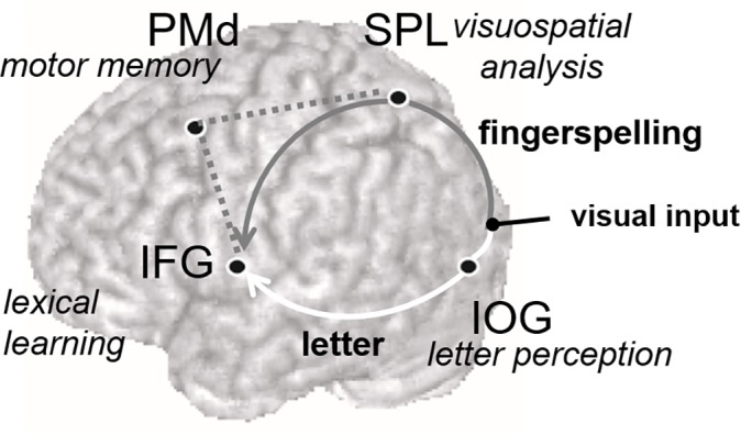 Fig 5