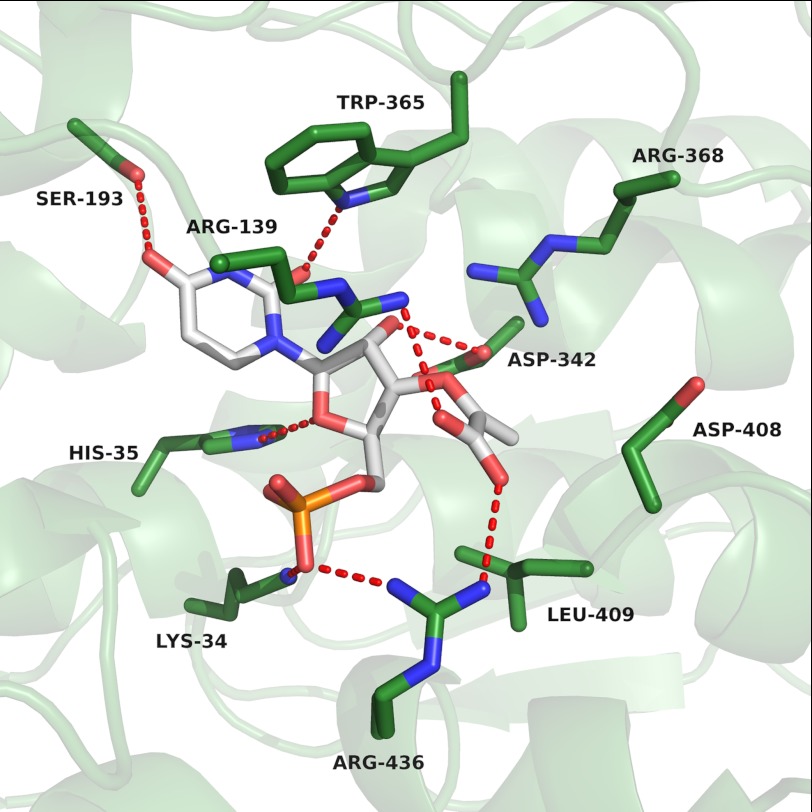 FIGURE 2.