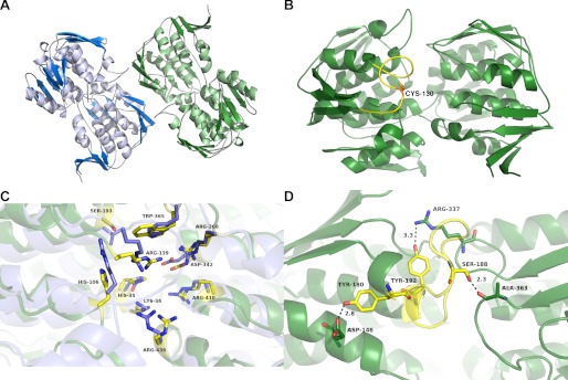 FIGURE 1.