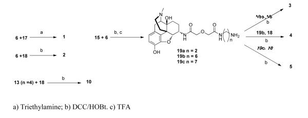 Scheme 2