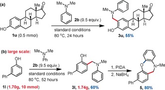 Scheme 6