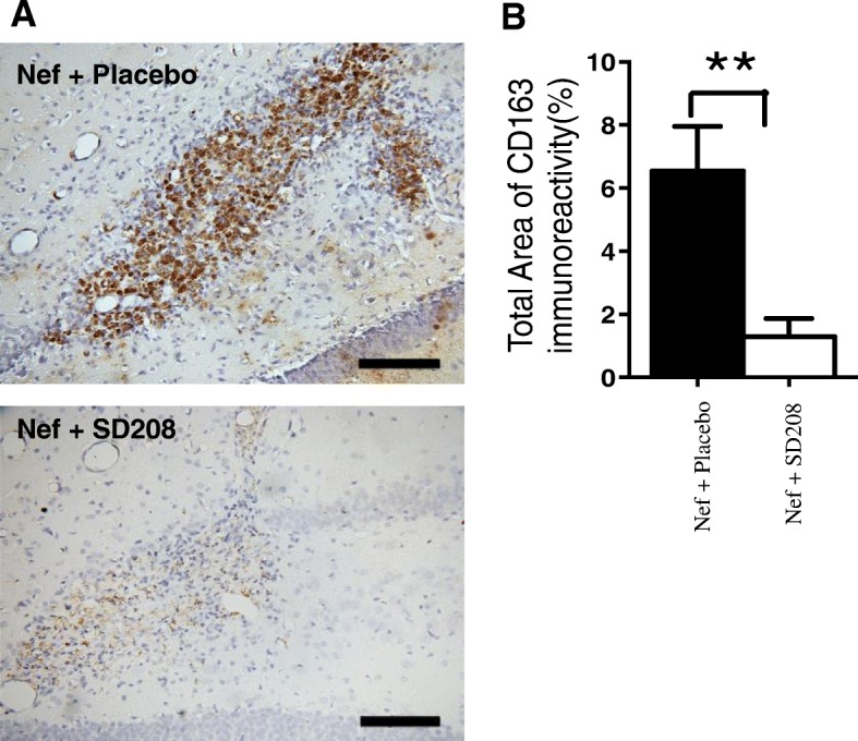 Fig. 8