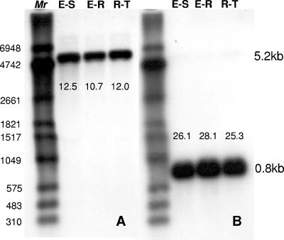 FIG. 5.