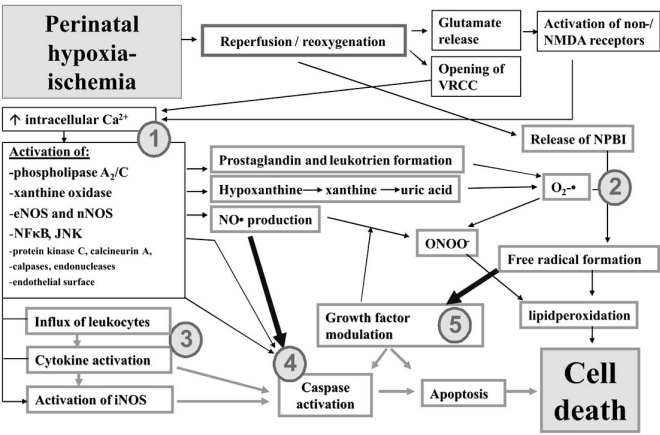 Fig. (1)