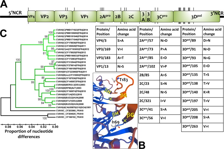 FIG 6