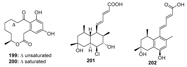 Figure 28